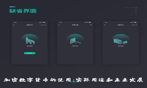 加密数字货币的使用：实际用途和未来发展