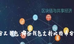 比特币分叉钱包：哪些钱包支持比特币分叉币种