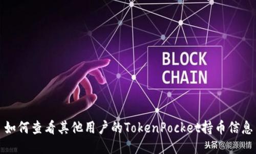 如何查看其他用户的TokenPocket持币信息