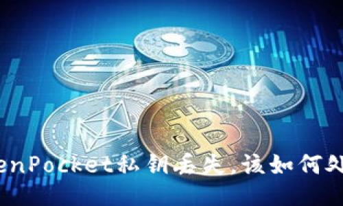 TokenPocket私钥丢失，该如何处理？
