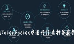 如何在TokenPocket中进行fil质押并获得收益？