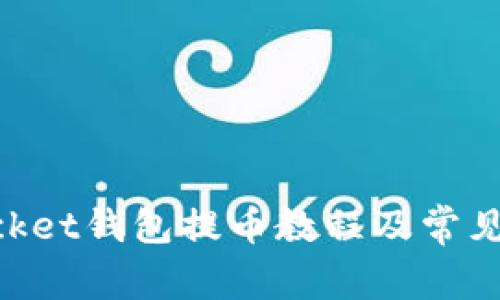 TokenPocket钱包提币教程及常见问题解决