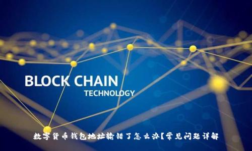 数字货币钱包地址输错了怎么办?常见问题详解