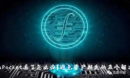 TokenPocket丢了怎么办？避免资产损失的五个解决方案