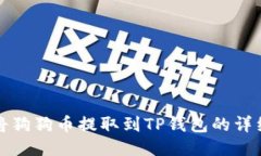 如何将狗狗币提取到TP钱包的详细指南