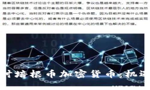 深入探讨培根币加密货币：机遇与挑战