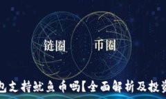   TP钱包支持鱿鱼币吗？全面解析及投资指南