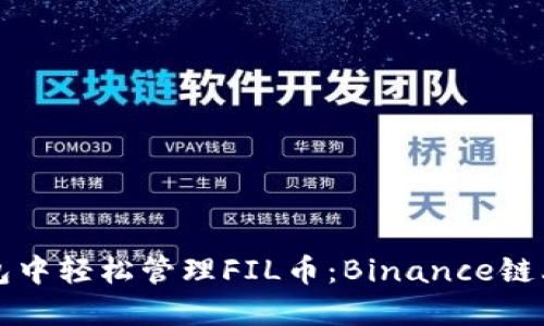 如何在TP钱包中轻松管理FIL币：Binance链上的操作指南