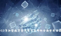 2023年加密数字货币牛市顶峰的全面分析与展望