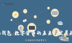 Koo钱包：数字货币的未来与发展趋势