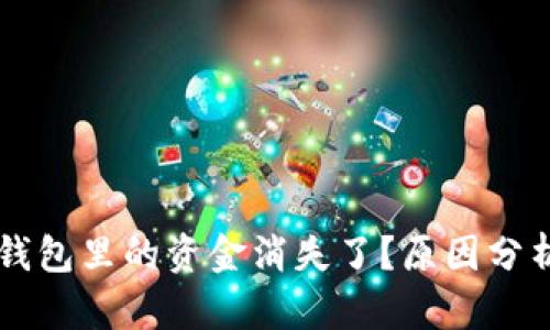 为何我的TP钱包里的资金消失了？原因分析与解决办法