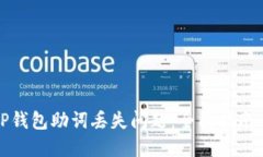如何解决TP钱包助词丢失问题：全面指南与解决方