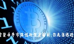 2023年加密货币牛市涨幅的深度解析：你无法逃避