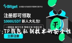 深入解析：TP钱包私钥技术的安全性与实用性