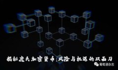 揭秘庞氏加密货币：风险与机遇的双面刃