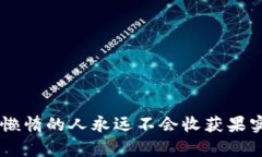   如何识别和避免虚假网站加密货币骗局：保护你