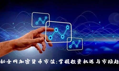 探秘全网加密货币市值：掌握投资机遇与市场趋势