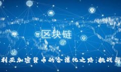 尼日利亚加密货币的合法化之路：挑战与机遇