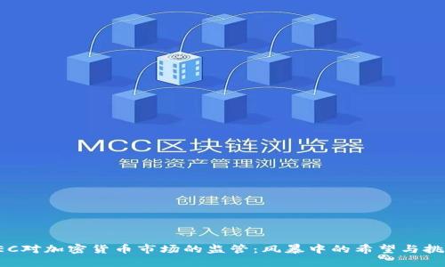 SEC对加密货币市场的监管：风暴中的希望与挑战