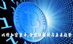比特加密货币：全方位解析与未来趋势